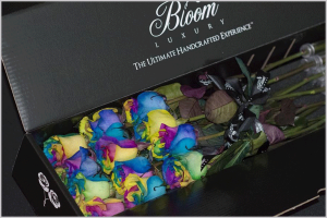 Bloom-lux-Rainbow-Roses